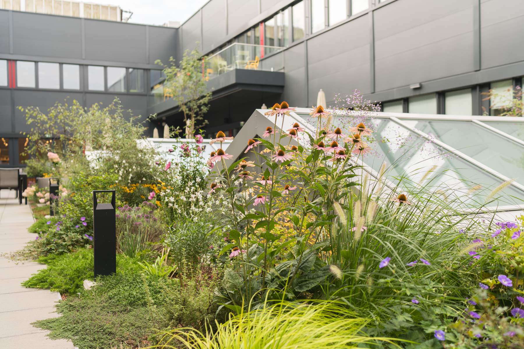 In einem Innenhof eines Bürogebäudes sieht man eine begrünte Anlage.