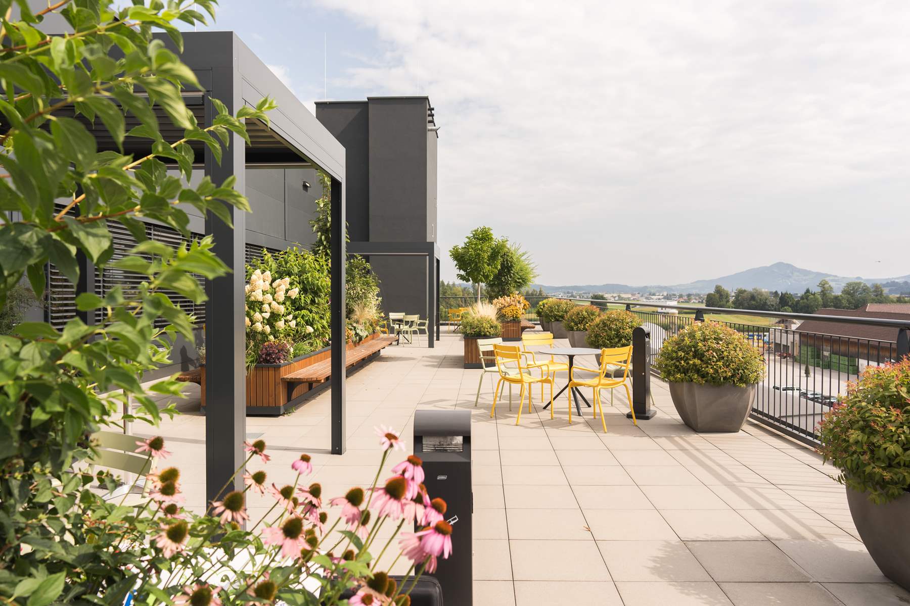 In einem Innenhof eines Bürogebäudes sieht man eine begrünte Anlage.