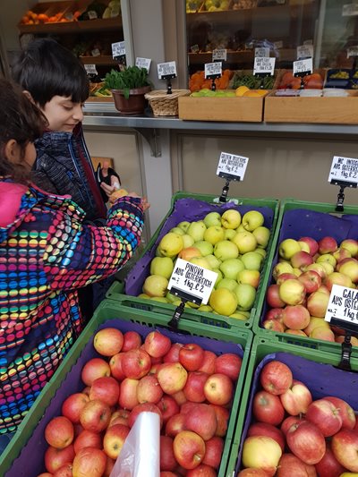 Die ersten Workshops sind gestartet