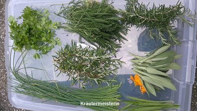 Natur mit allen Sinnen erleben 